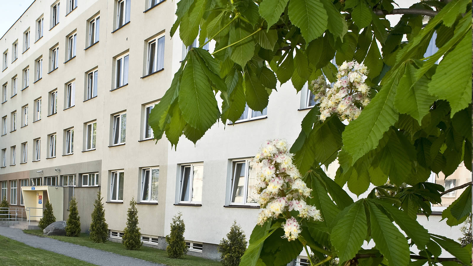 UKW student houses
